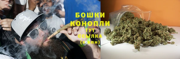 мяу мяу мука Беломорск