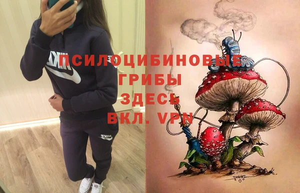 jwh Белокуриха