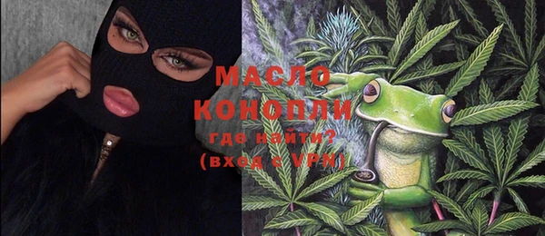 молекула духа Протвино