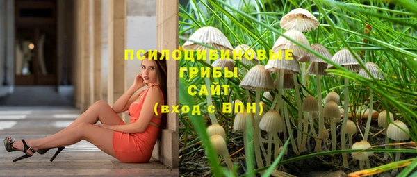 шишки Приозерск