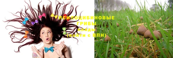 jwh Белокуриха
