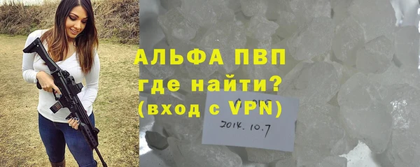 шишки Приозерск