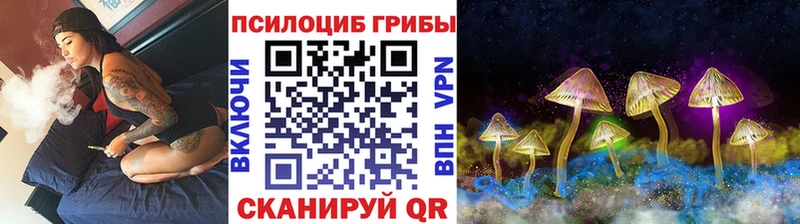 блэк спрут   что такое наркотик  Верея  Галлюциногенные грибы Psilocybine cubensis 